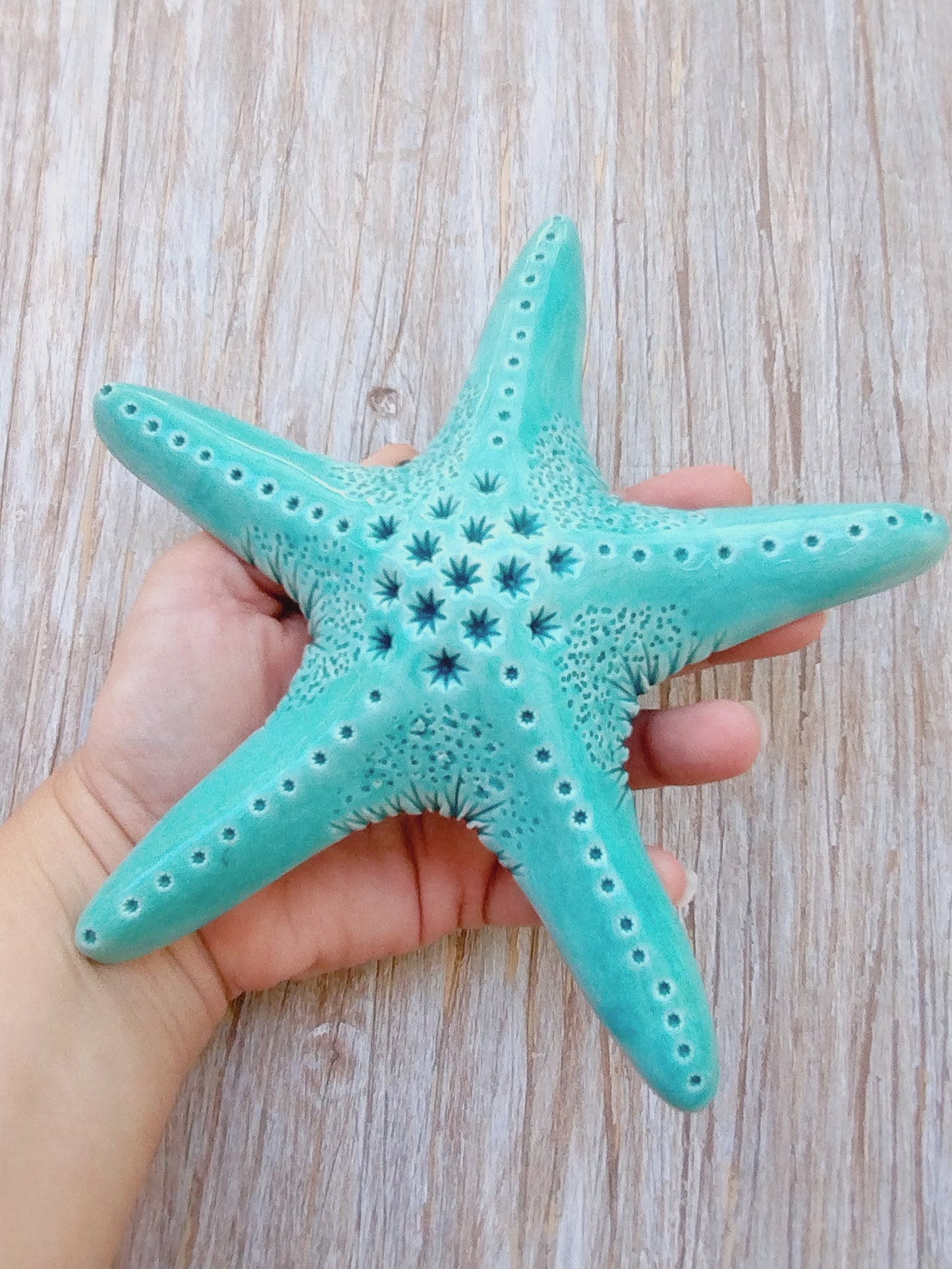 Stella marina verde acqua