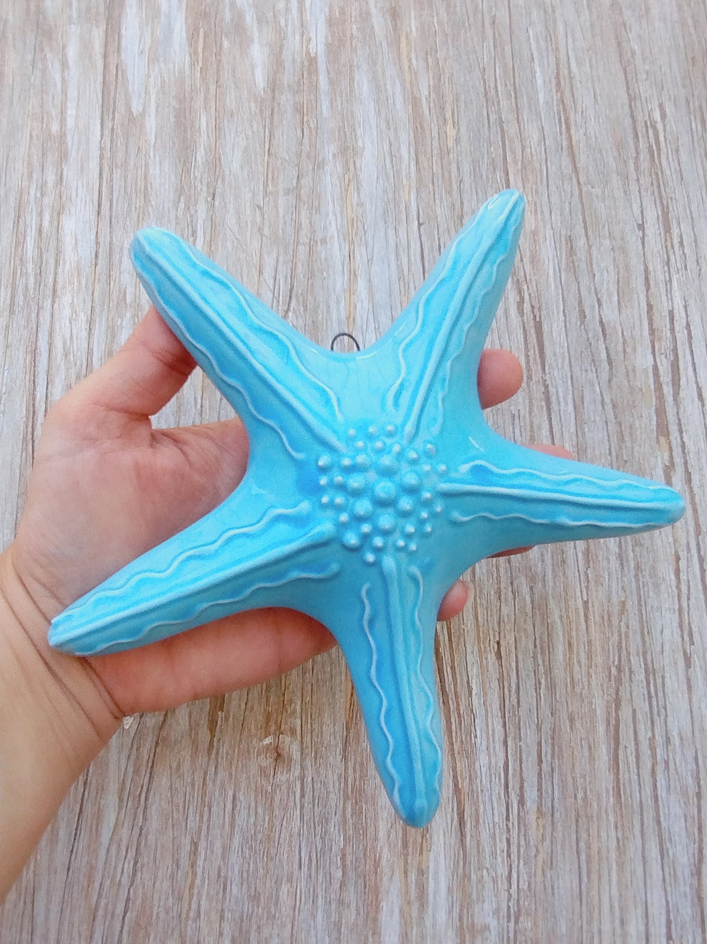 Stella marina turchese