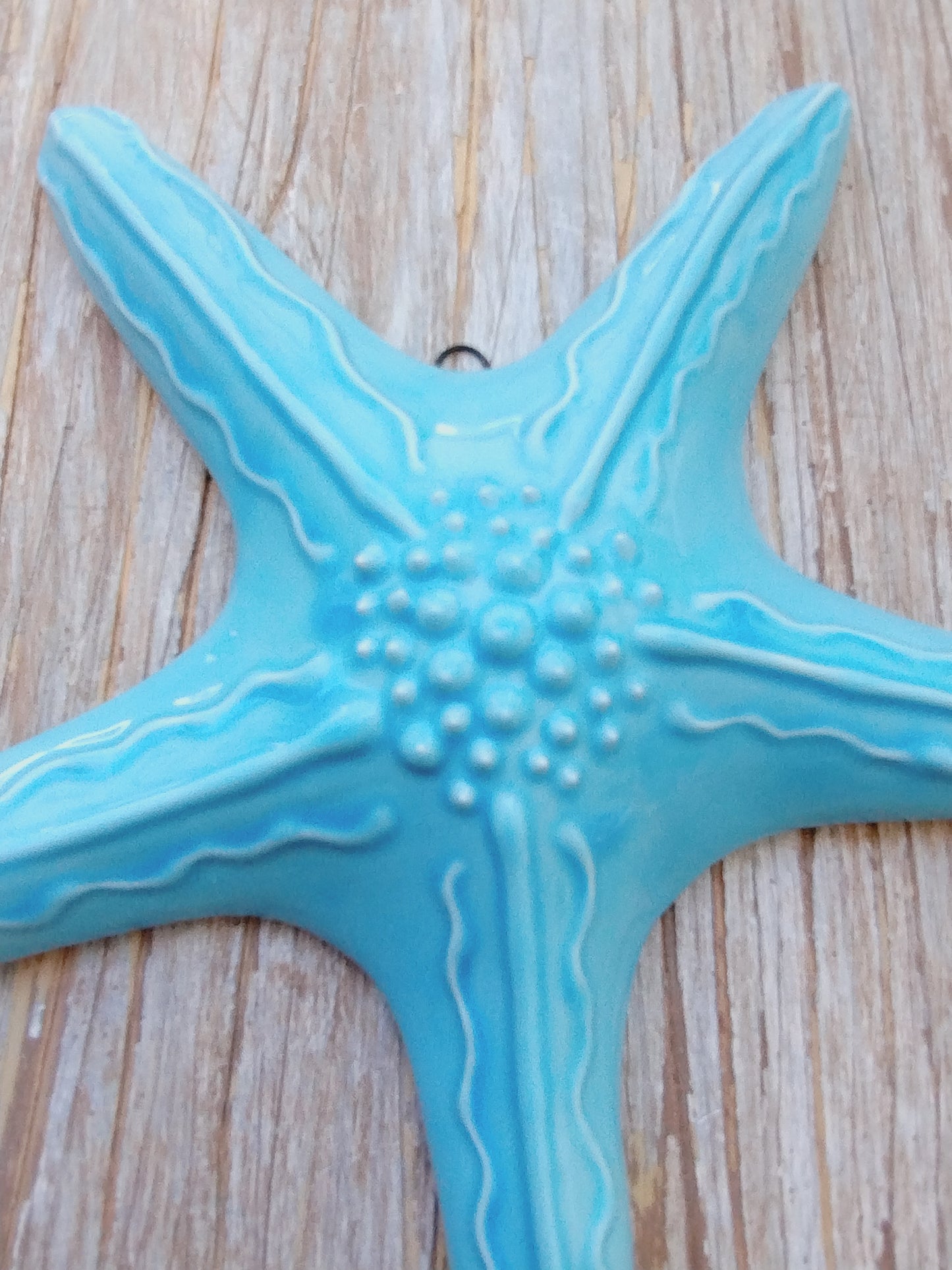 Stella marina turchese