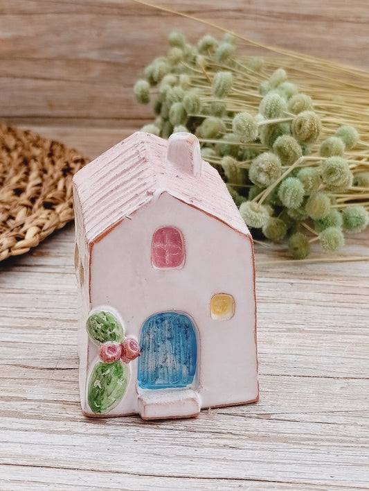 Casetta con cactus